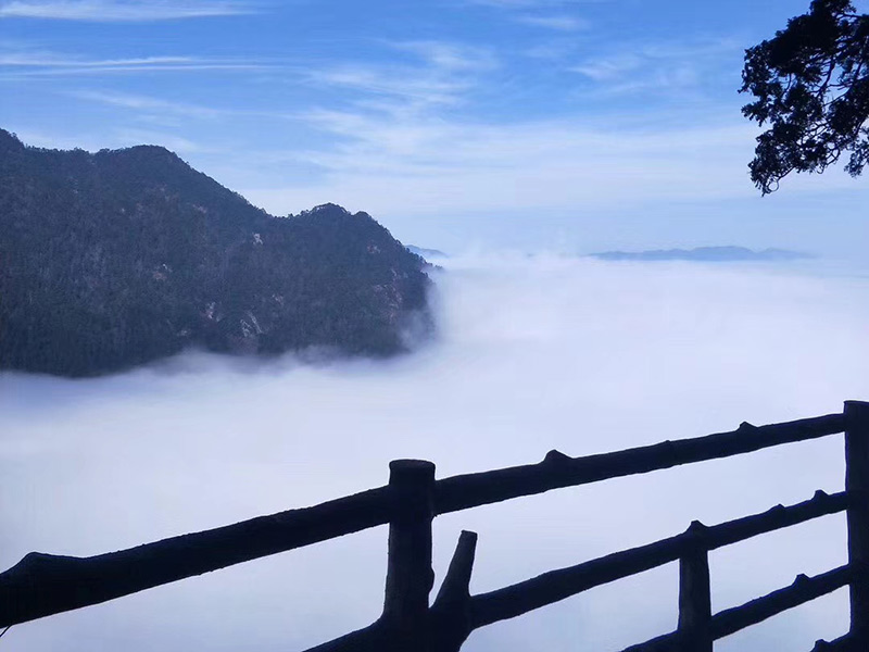 井岡山雲海