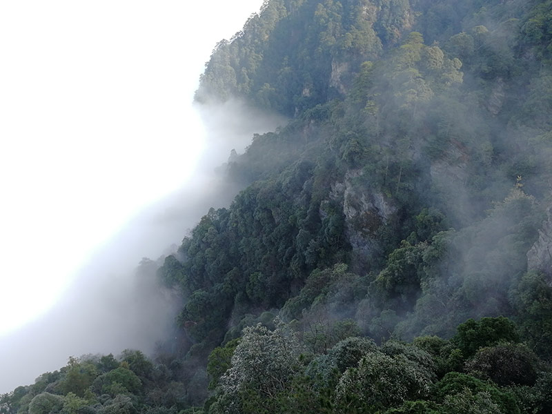 井岡山之行山上風(fēng)光
